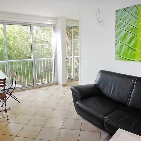 Terrasses De La Baronnie-3 By Interhome Apartment Le Grau-du-Roi