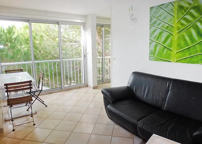 Terrasses De La Baronnie-3 By Interhome Apartment Le Grau-du-Roi